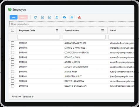 hovid payroll|Hierpayroll.